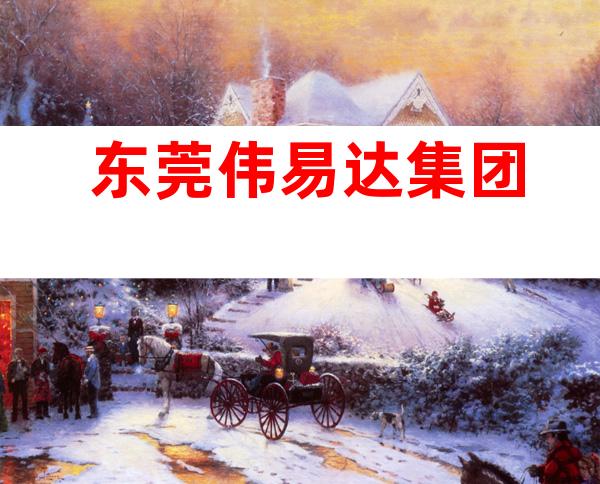 东莞伟易达集团