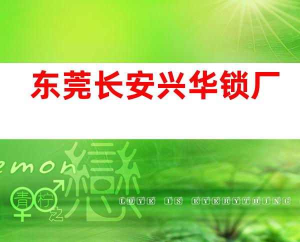 东莞长安兴华锁厂
