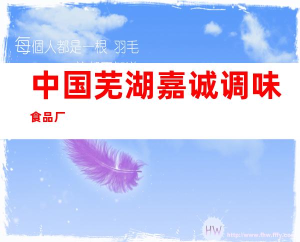 中国芜湖嘉诚调味食品厂