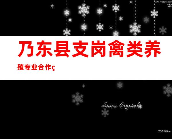 乃东县支岗禽类养殖专业合作社