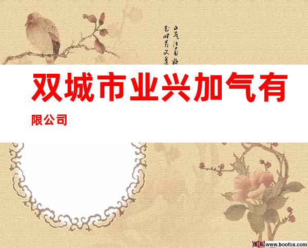 双城市业兴加气有限公司