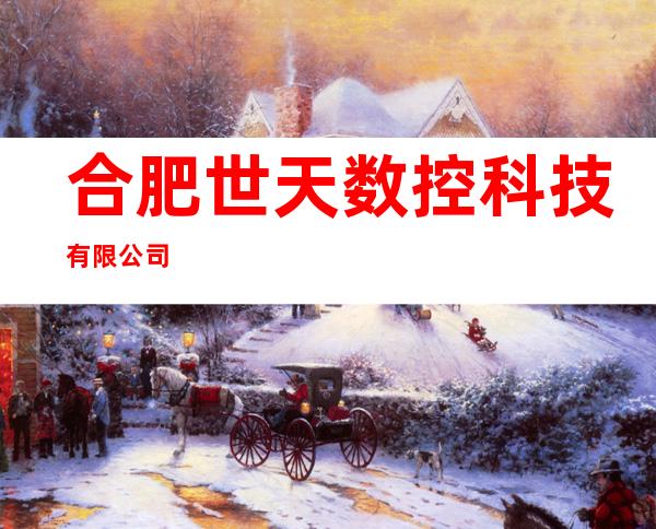 合肥世天数控科技有限公司