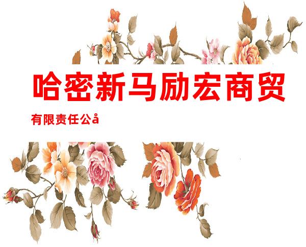 哈密新马励宏商贸有限责任公司