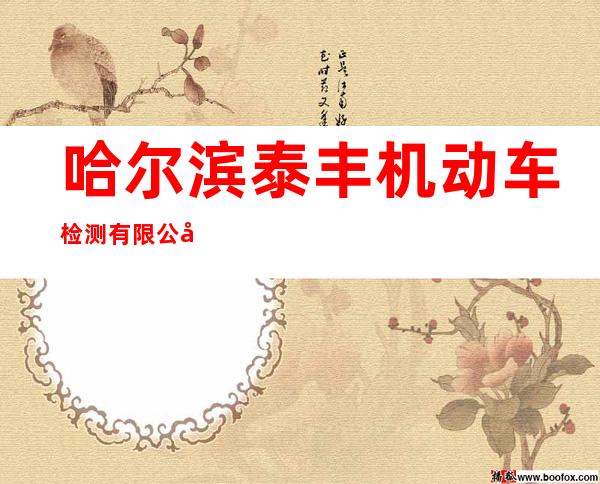 哈尔滨泰丰机动车检测有限公司