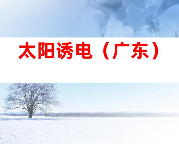 太阳诱电（广东）