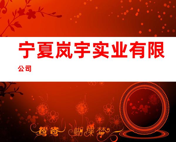 宁夏岚宇实业有限公司