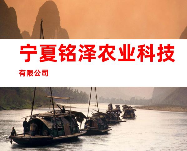 宁夏铭泽农业科技有限公司