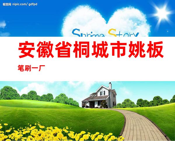 安徽省桐城市姚板笔刷一厂