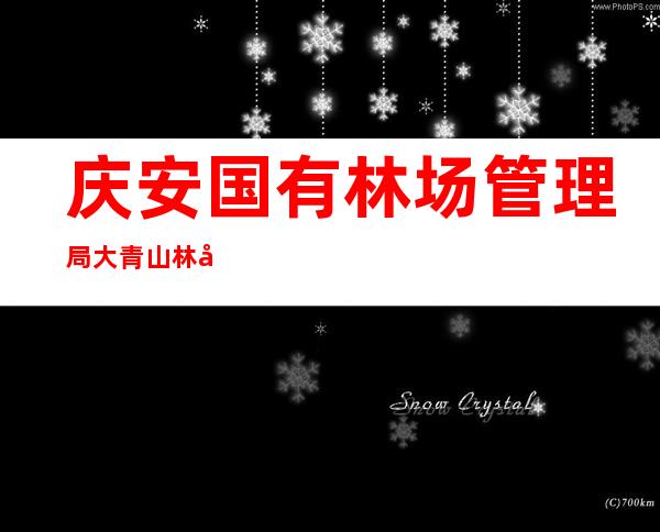 庆安国有林场管理局大青山林场