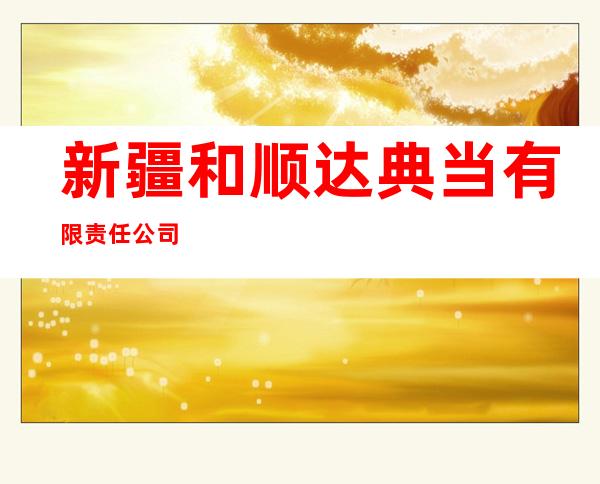 新疆和顺达典当有限责任公司