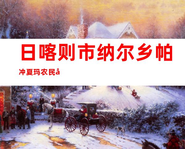 日喀则市纳尔乡帕冲夏玛农民建筑队