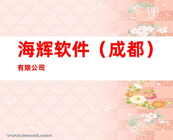 海辉软件(成都)有限公司