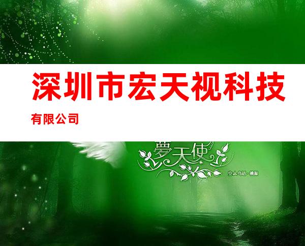 深圳市宏天视科技有限公司
