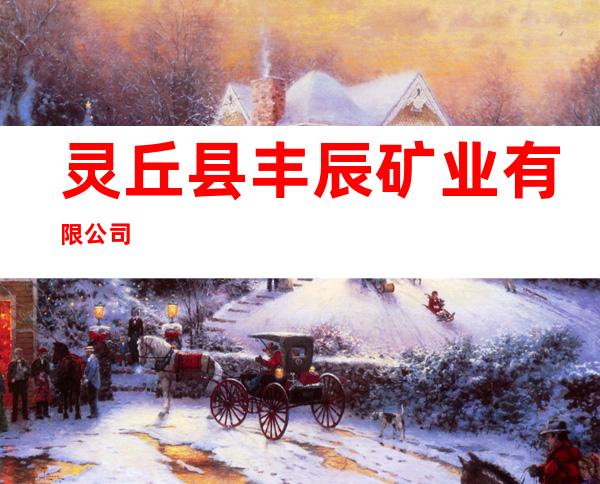 灵丘县丰辰矿业有限公司
