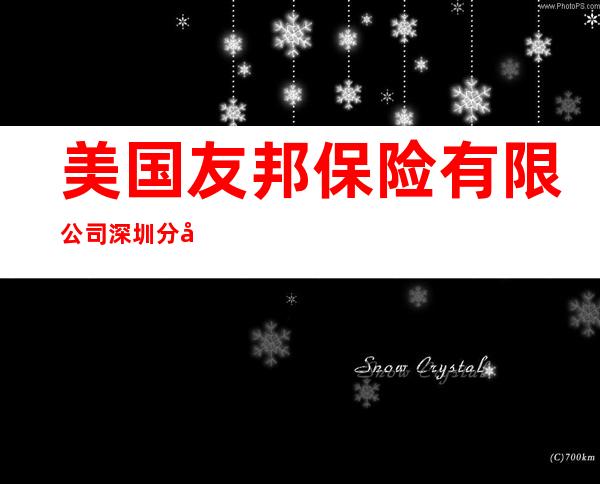 美国友邦保险有限公司深圳分公司(恒山团队)