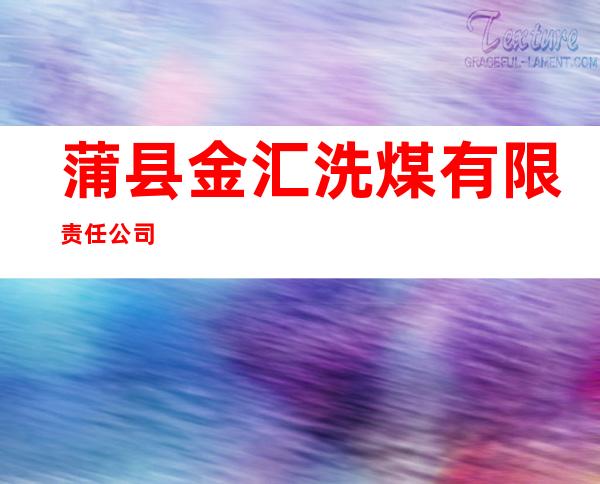 蒲县金汇洗煤有限责任公司