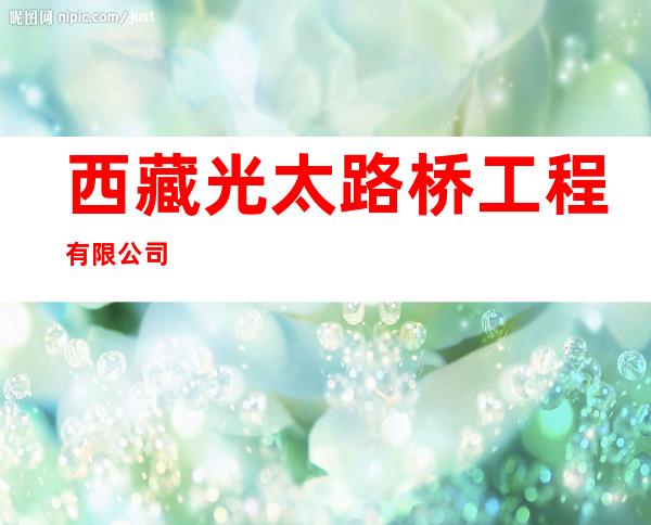 西藏光太路桥工程有限公司