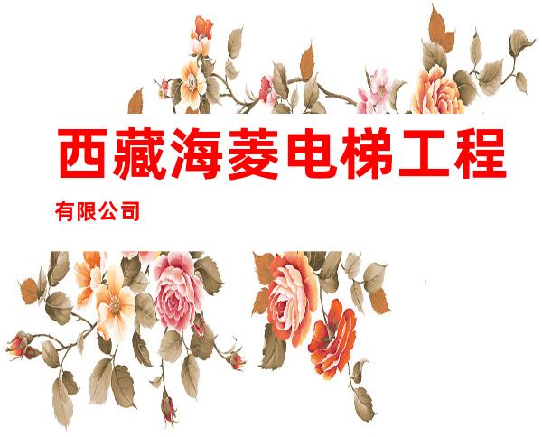 西藏海菱电梯工程有限公司