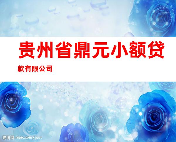 贵州省鼎元小额贷款有限公司