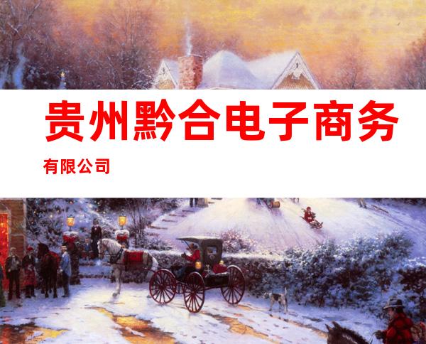 贵州黔合电子商务有限公司