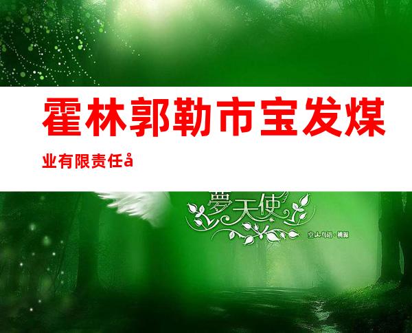霍林郭勒市宝发煤业有限责任公司