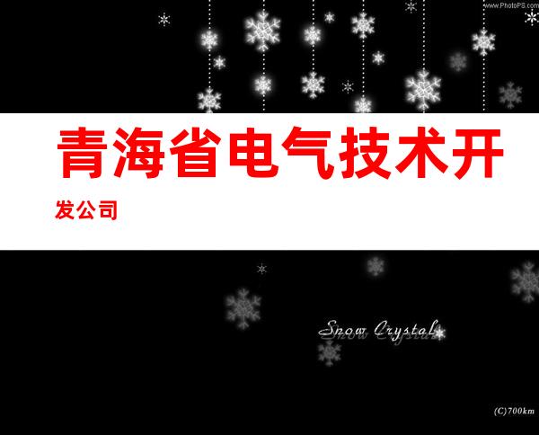 青海省电气技术开发公司