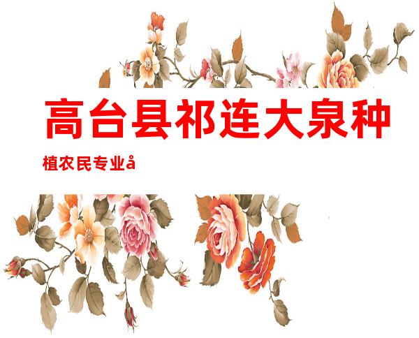 高台县祁连大泉种植农民专业合作社